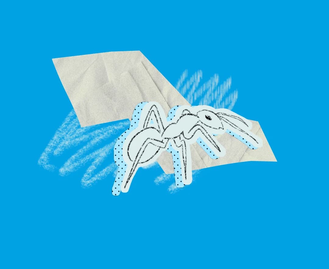 An ant