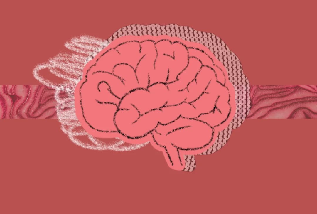 A brain