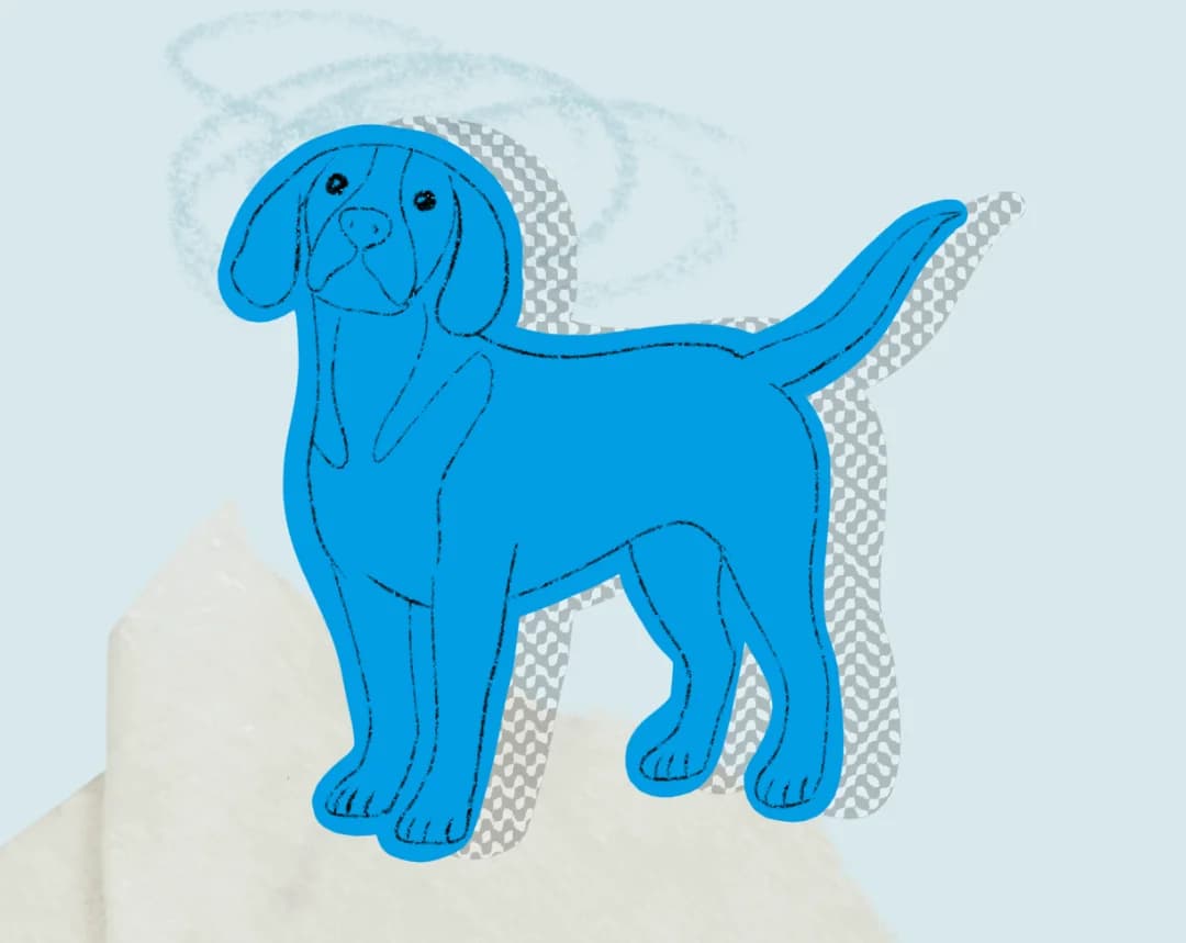 A dog