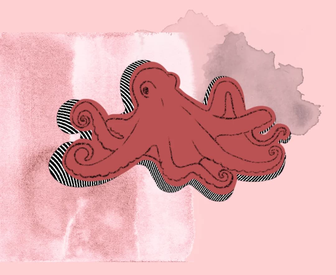An octopus