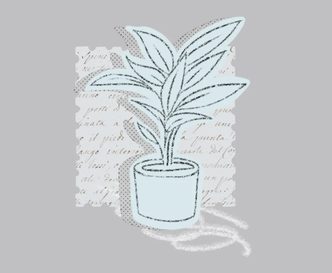 A plant